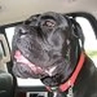 Bruce S.
