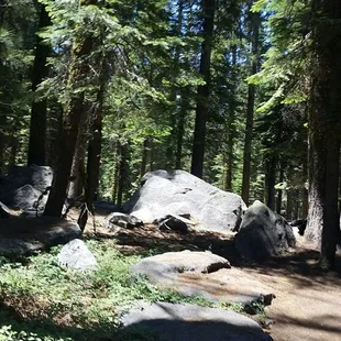 Lots of giant boulders provide kids easy climbing.
