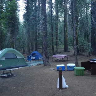 Site 502.  This site has two bear boxes!