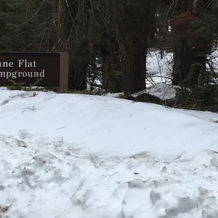 Not sure if you can camp here during the snow season but it sure was a fun snow play day (3/2016)
