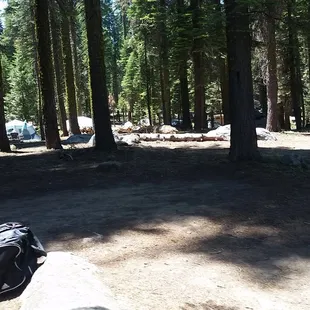 Site #211 is very flat, compared to the rest of the campground. Good shade and lots of boulders for the kids to climb.