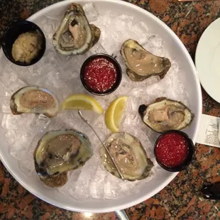 a plate of oysters