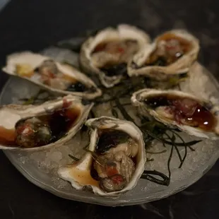 Oysters