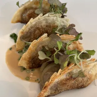 Duck Gyoza