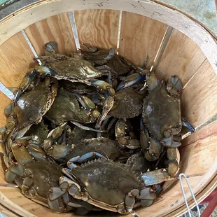 a basket full of crabs