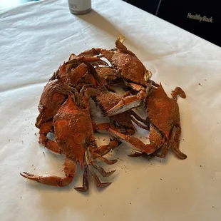 Crabs from Cranky Crabs