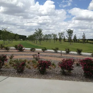 Crepe Myrtle Trail In McKinney