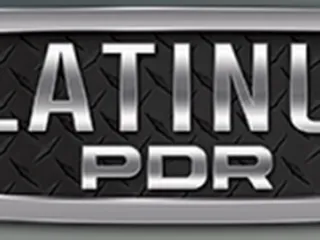 Platinum PDR Plus Paint