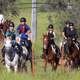 Crater Hill Esquestrian