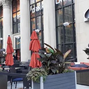 Al Fresco dining with an European flair at Crave. We loved sitting outside and sipping wine!