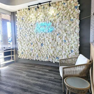 Backdrop for Photos, anyone?