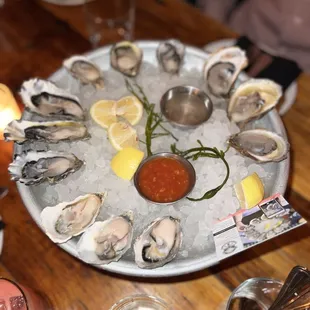 Dozen Oysters (~$47)