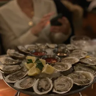 Oysters
