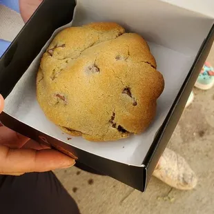 Chocolate chip cookie