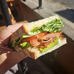 BLTA