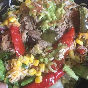 Carnitas salad - colorful but tasteless