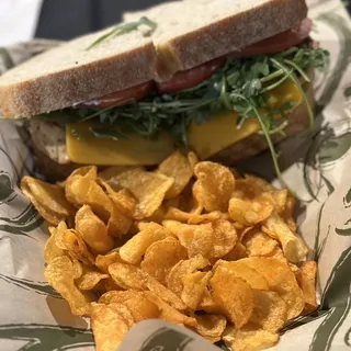 Marinated Chicken Breast Sandwich