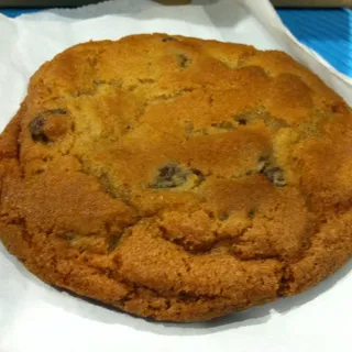 Chocolate Chip
