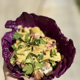 Purple Cabbage wrap