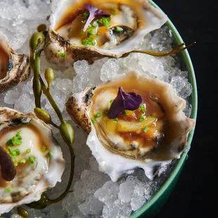 Oysters