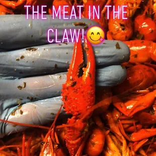 Delicious, fresh NEVER frozen Gourmet Crawfish that&apos;s not at a Gourmet Price . Come taste the difference with Craven Crawfish