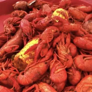 a large pile of crawfish