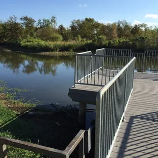 Nice petite overlook