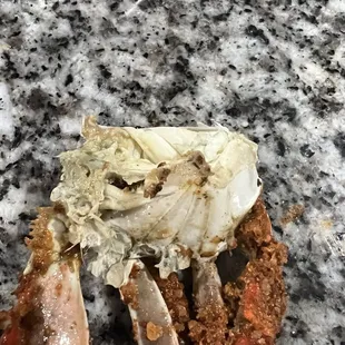  crab with a piece of meat on it