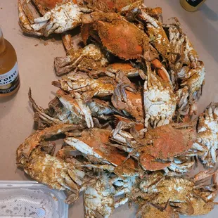 oysters and mussels, food