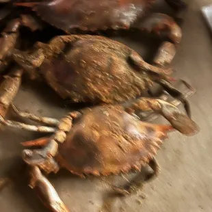 These were absolutely old, dry, mushy, and the worse I have ever had!