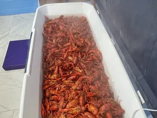 B&T Seafood