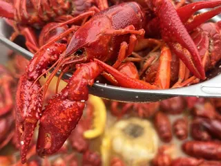 University Seafood