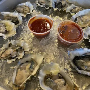 Super yummy Raw oysters