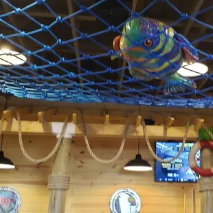 This fish was flying and got caught. Nice pop of color in the decor.
