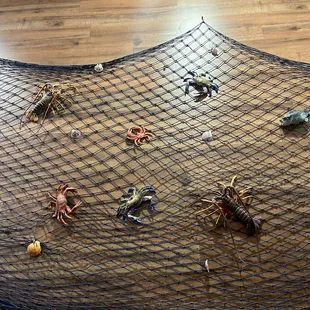 Wall decor is so cool