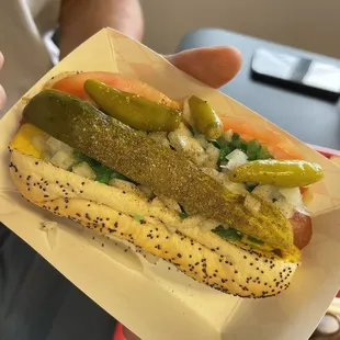 Chicago Style Hot Dog