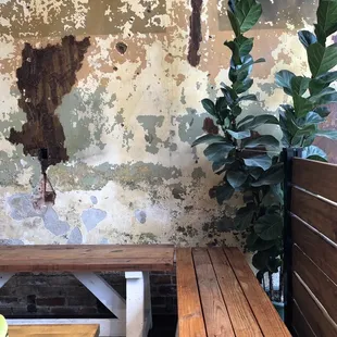 a wooden bench and a potted plant