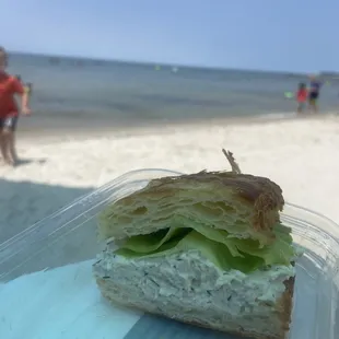 Chicken salad sandwich