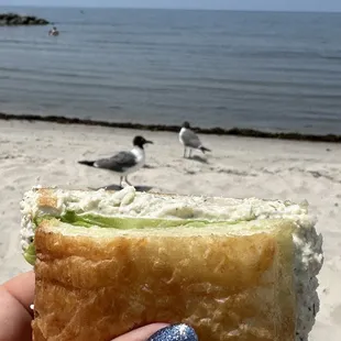 The Monroe- Chicken Salad