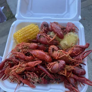 Crawdad Festival