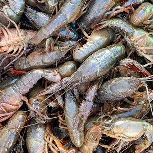 Crawdaddy Seafood Thibodaux