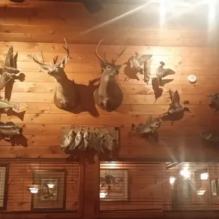 View from our booth #1.