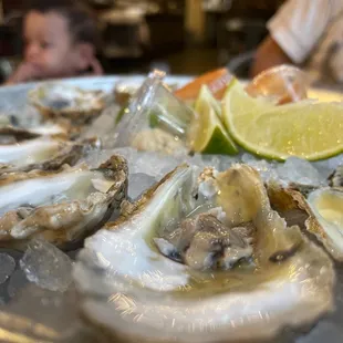 a platter of fresh oysters