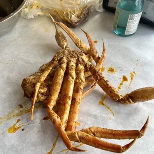 Snow Crab
