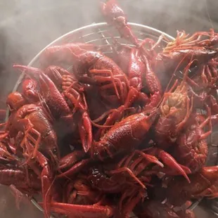 THE ABSOLUTE BEST SEASONED LOUISIANA CRAWFISH NORTH MS HAS TO OFFER! FAMILY SEASONING