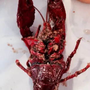 Louisiana Crawfish