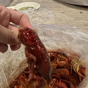Huge hard shell &quot;fresh live&quot; crawfish at early Feb? Blame me..