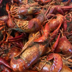 Large, fairly easy to peel, end of season crawfish.