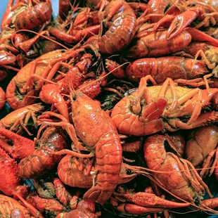 Crawfish
