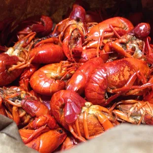 Bought on 2/5 good and fresh but they were too young XD maybe next month would be better. $4.99/lb